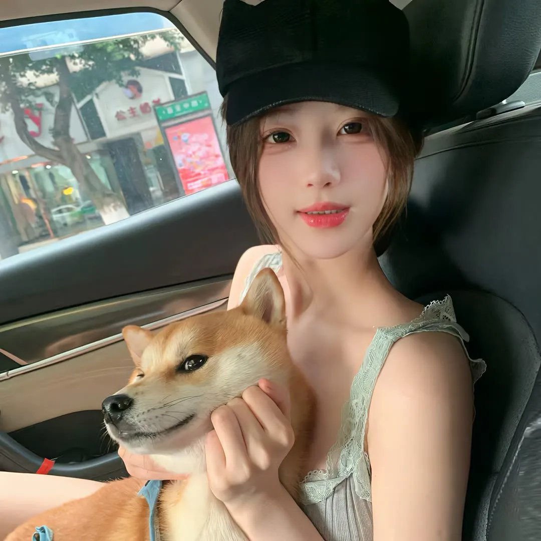 完美独裁